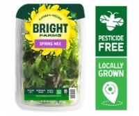BrightFarms® Spring Mix Lettuce Family Pack