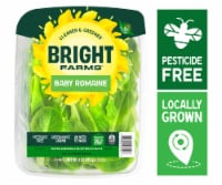 BrightFarms® Baby Romaine Lettuce
