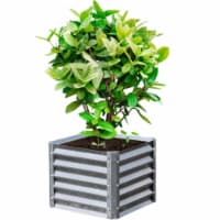 EarthMark MGB-H041 Alto Series 22 x 22 x 17 in. Square Galvanized Metal Planter