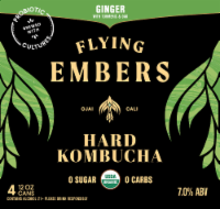 Flying Embers Ginger & Oak Hard Kombucha Perspective: Main