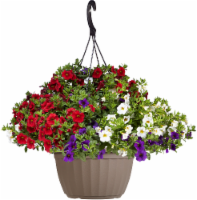 Confetti™ Hawaiian Country Hanging Flower Basket Perspective: Main