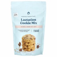 Oatmeal Chocolate Chip Lactation Cookie Mix, 16 oz Perspective: Main
