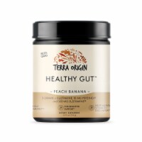 Terra Origin Healthy Gut Peach Banana Powder
