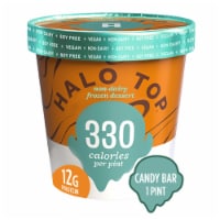 Halo Top Dairy Free Peanut Butter Cup Frozen Dessert Pint Perspective: Main
