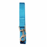 JoJo Modern Pets Padded Grip Dog Leash (5ft) - Light Blue