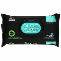 DUDE Wipes Mint Chill Flushable Wipes