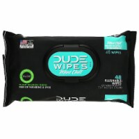 DUDE Wipes Mint Chill Flushable Wipes