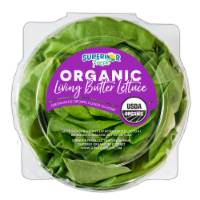 Superior Fresh Organic Living Butter Lettuce