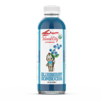 Tapuat Blueberry Kombucha