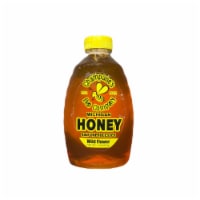 Champane's Bee Company Raw Unprocessed Wildflower Michigan Honey Perspective: Main