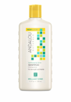 Andalou Naturals Sunflower And Citrus Brilliant Shine Shampoo