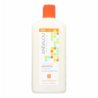 Andalou Naturals Argan Oil & Shea Moisture Rich Shampoo