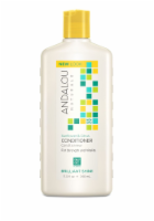 Andalou Naturals Sunflower And Citrus Shine Conditioner