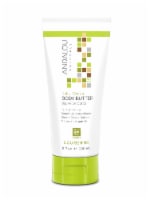 Andalou Naturals Kukui Cocoa Body Butter