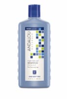 Andalou Naturals Argan Stem Cell Age Defying Treatment Shampoo