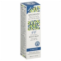 Andalou Naturals Oil Control Beauty Balm