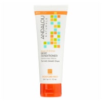 Andalou Naturals Argan Oil Plus Deep Conditioner