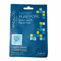 Andalou Naturals Coconut Water Clarifying Instant Pure Pore Facial Mask