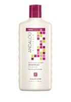 Andalou Naturals Color Care Shampoo