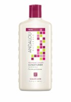 Andalou Naturals Color Care Conditioner