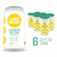 Land-Grant Lemon Glow Hazy Pale Ale Perspective: Main