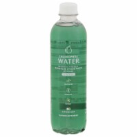 Chlorophull Water® Purified Spring Vitamin Enhanced Bottled Water Perspective: Main
