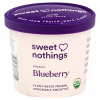 Sweet Nothings Spoonable Smoothie Plant Based Blueberry Frozen Snack Cup Perspective: Main