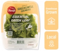 Ukrop's™ Greenswell Growers Essential Green Leaf Lettuce