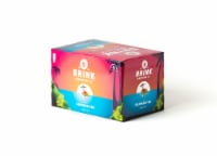Brink Brewing Co. Summertime Cream Ale Perspective: Main