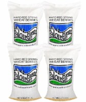 Palouse Brand Hard Red Spring Wheat Berries, 100 LBS (4 - 25 LB Bags)