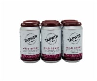Texas Ale Project Craft Hard Seltzer Perspective: Main