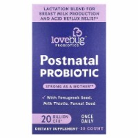 LoveBug Probiotics Postnatal Probiotic 20 Billion CFU - 30 Count Perspective: Main