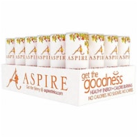 Aspire Mango Lemonade Calorie Burning Energy Drink Can Perspective: Main