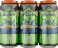 Eddyline Brewery River Runners Pale Ale Beer Perspective: Main
