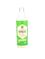 No Frizz Spray