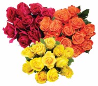Elite Dozen Color Rose Bouquet (Please Specify Color Choice in Notes)