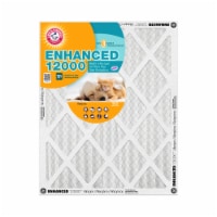 Arm and Hammer™ Enhanced 12000™ Allergen Filter Perspective: Main