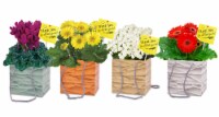 Admin Day Blooming Thank You Bag - Assorted Perspective: Main