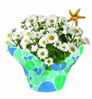 Fleurette Mums Perspective: Main