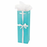 Revel Paper Audrey Wine Gift Bag - Turquoise Perspective: Main