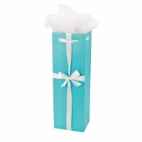 Revel Paper Audrey Wine Gift Bag - Turquoise Perspective: Main