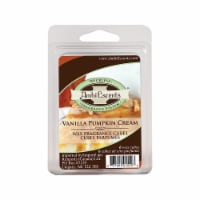AmbiEscents™ Vanilla Pumpkin Cream Wax Cubes Perspective: Main