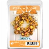 Fusion Warm Welcome Fusion Scented Wax Cubes Perspective: Main