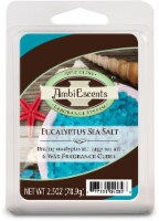 AmbiEscents™ Eucalyptus Sea Salt Wax Fragrance Cubes - 6 Pack Perspective: Main