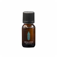 ScentSationals Contemporary Decorative Eucalyptus Aromatherapy Essential Oil, 15ml Perspective: Main
