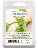 AmbiEscents™ Invigorate Me Lemongrass & Peppermint Wax Fragrance Cubes - 6 Pack Perspective: Main