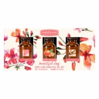 AmbiEscents™ Beautiful Day Essential Oil Set Perspective: Main