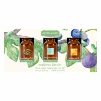 AmbiEscents™ Natures Haven Essential Oils Set Perspective: Main
