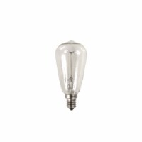 Oak & Rye 40 Watt Edison Light Bulb - Clear Perspective: Main