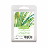 Oak & Rye™ Invigorate Me Lemongrass & Peppermint Scented Wax Cubes Perspective: Main